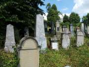 Židovský hřbitov u Zbraslavic