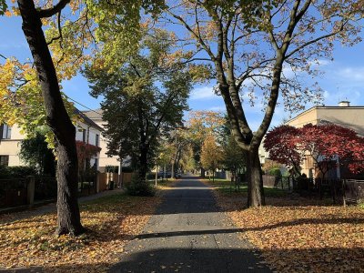 Alej na Starobělské ulici