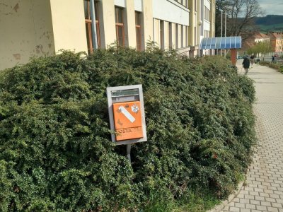 Alej pro Talichovku Beroun