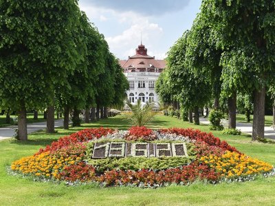 Alej ve Smetanových sadech Karlovy Vary