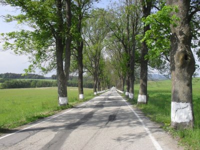 Alej z Besednice na Pořešín