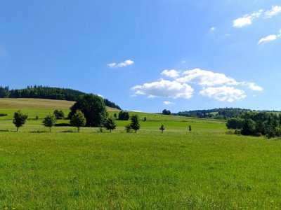 Alej z Králík po staré cestě k Dolní Orlici