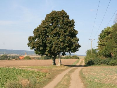 Blažovice