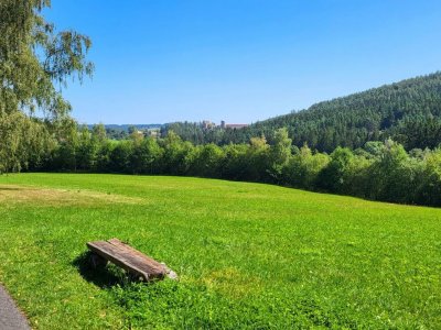 Březová alej ke kostelu sv. Maří Magdalény