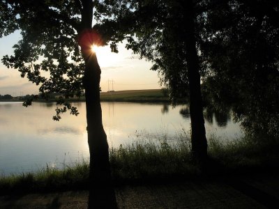 Bucký rybník (Bucek)