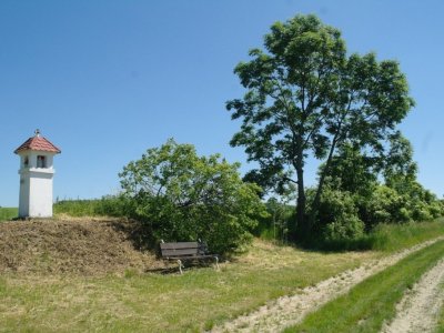 Domašov u Šternberka