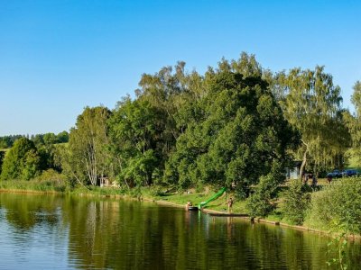 Dubová alej v Telči