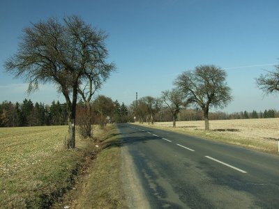 Silnice II/229 do obce Třeboc od jihu