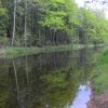 Nová řeka poblíž rybníka Vyšehrad