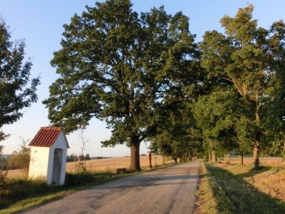 Hradecká alej Ledeč nad Sázavou