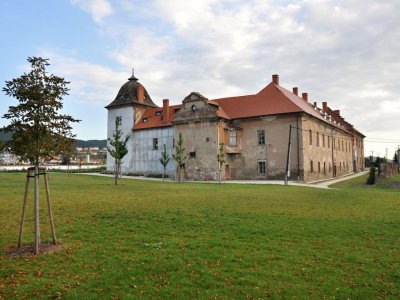 Javorová alej u Zámecká zahrady Králův Dvůr