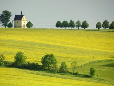 Lipové stromořadí Úsov