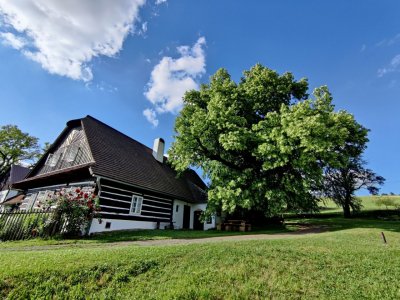 Lukasova zpívající lípa