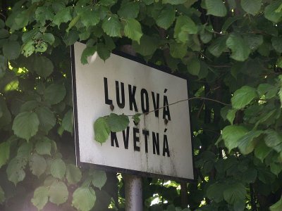 Luková