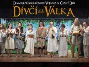 Dívčí válka