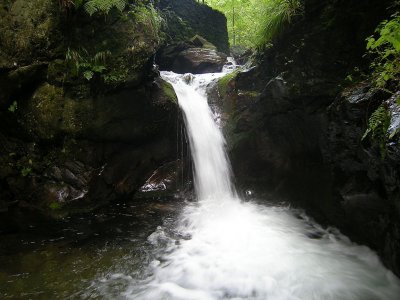 Nýznerovské vodopády (vodopády Stříbrného potoka)