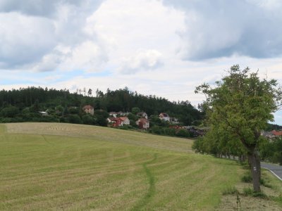 Ořešáková alej Beroun-Zdejcina