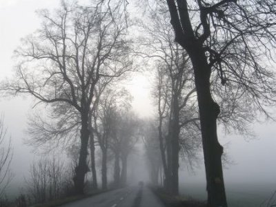 Památné stromořadí Lažnáky - Jedovnice