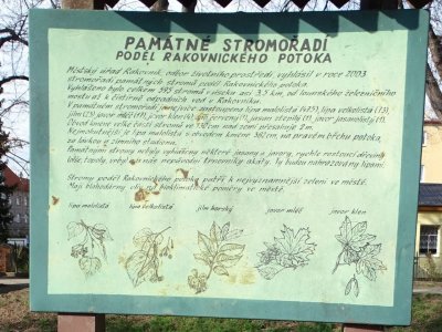 Památné stromořadí podél Rakovnického potoka