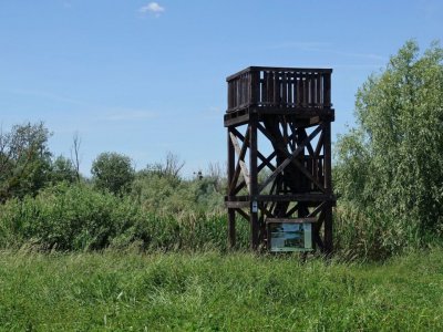 Pozorovatelna ptactva Streda pod Bodrogom