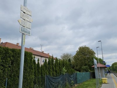 Rožnovské březové stromořadí ve Valašském Meziříčí
