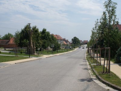 Šakvice