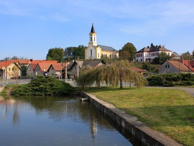 Skořenice