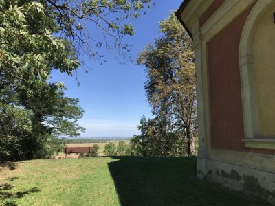 Smíšená alej u Schořova