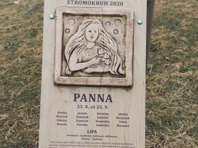 Studentská alej a Stromokruh