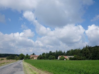 Švestková alej Zálší - Nořín