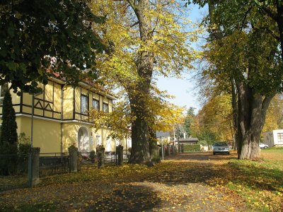 Valdštejnská alej Zahrádky