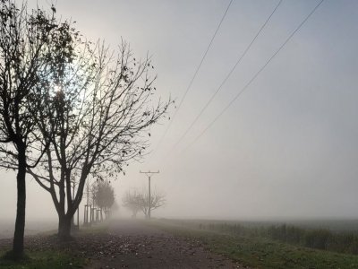 Viničná alej v Dobřichovicích