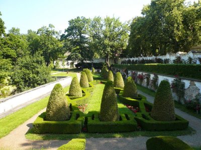 Výstava bonsají na zámku Duchcov
