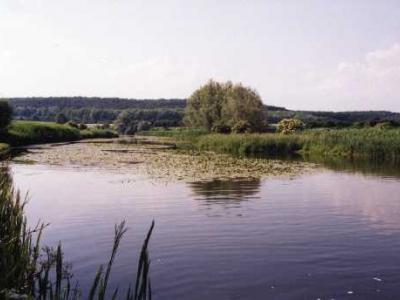 Žehuňský rybník