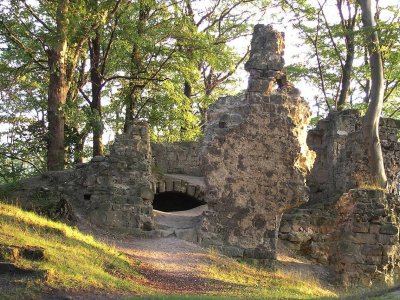 Zřícenina hradu Děvín (Česká Lípa)