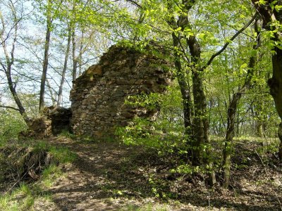 Zřícenina hradu Klabava