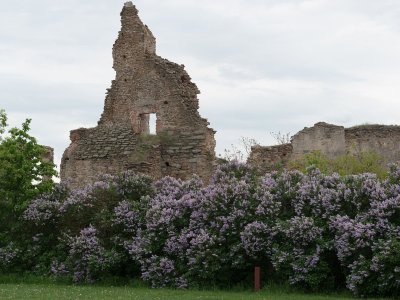 Zřícenina hradu Žerotice